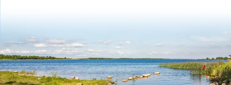 Lough Ree at Summer Co Long ford