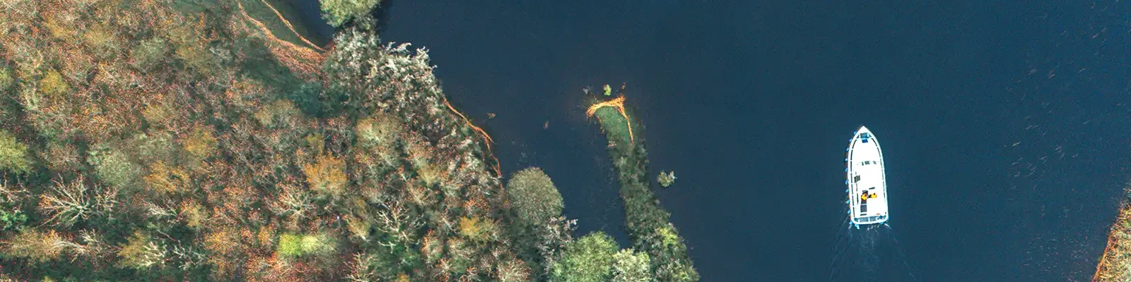 Birdseye view