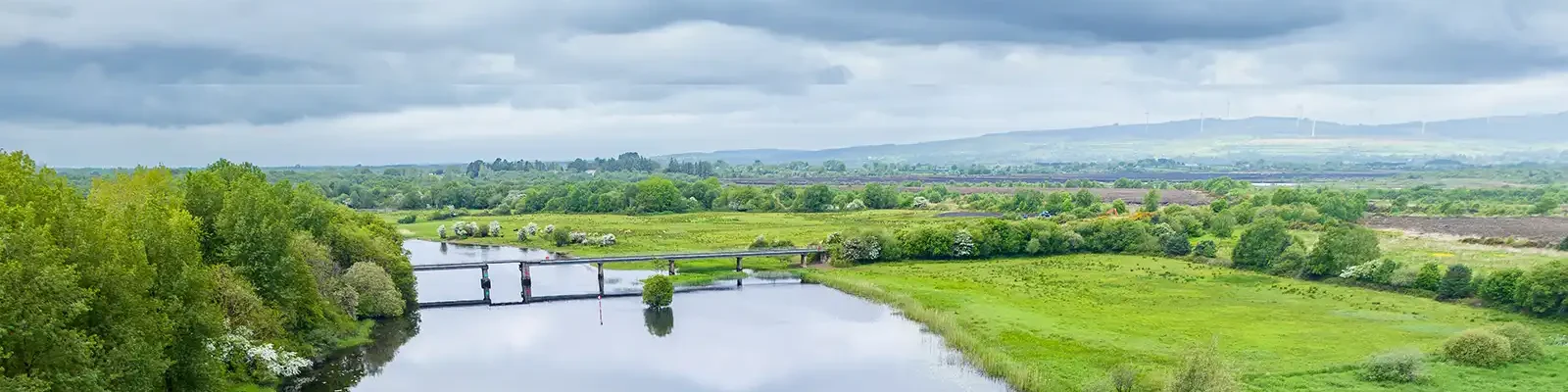 Aerial view of bridge