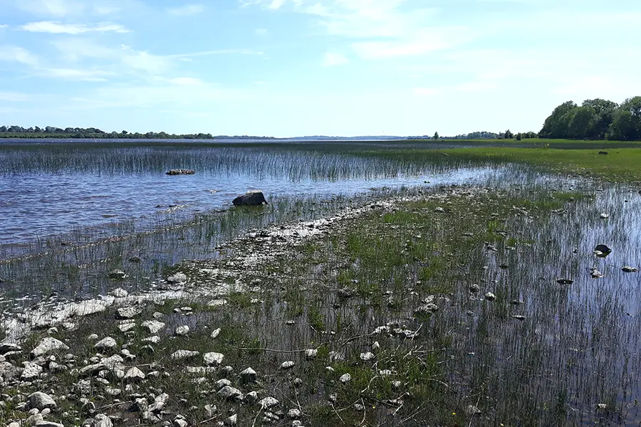 Shores of Inchenagh island on Lough Ree.
